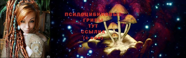 амф Няндома