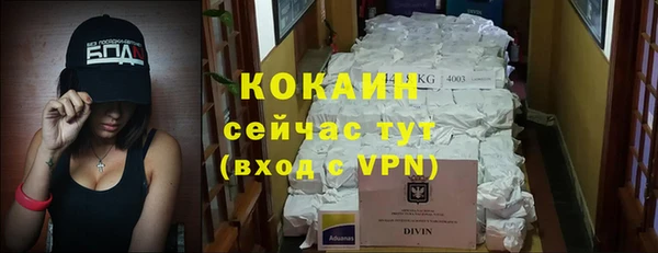 амф Няндома