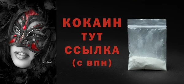 амф Няндома