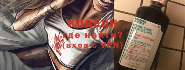 амф Няндома
