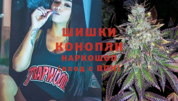 амф Няндома