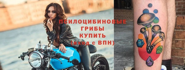 соль курить ск Нязепетровск