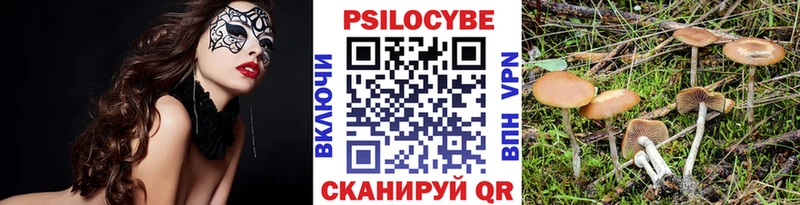 Псилоцибиновые грибы GOLDEN TEACHER  Кунгур 