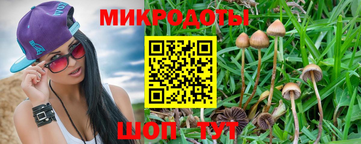 Псилоцибиновые грибы ЛСД  Вход с VPN  Галлюциногенные грибы Psilocybe  Кунгур 