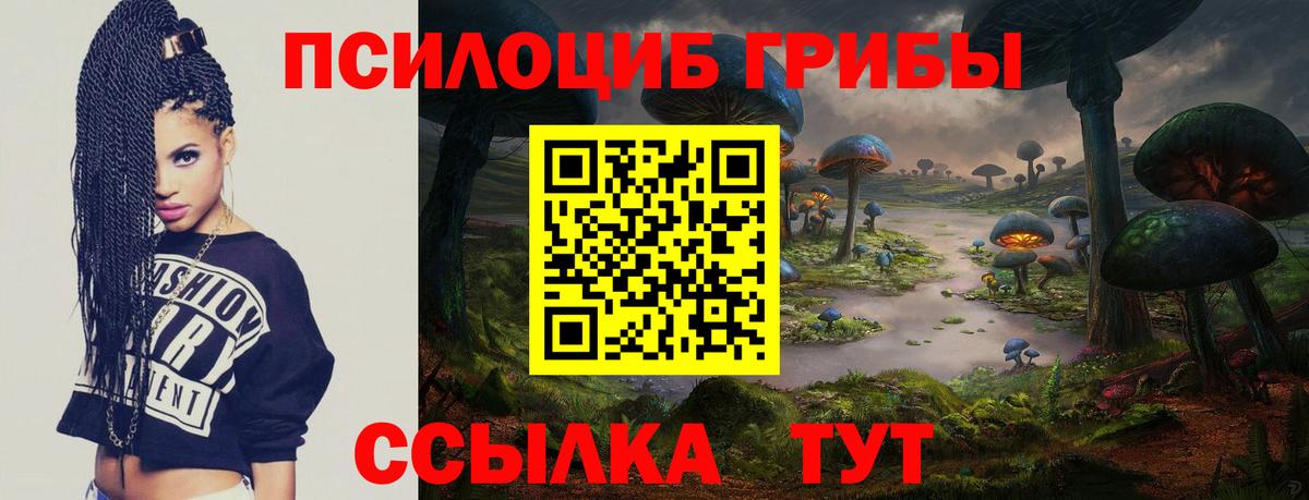 Галлюциногенные грибы Cubensis Кунгур