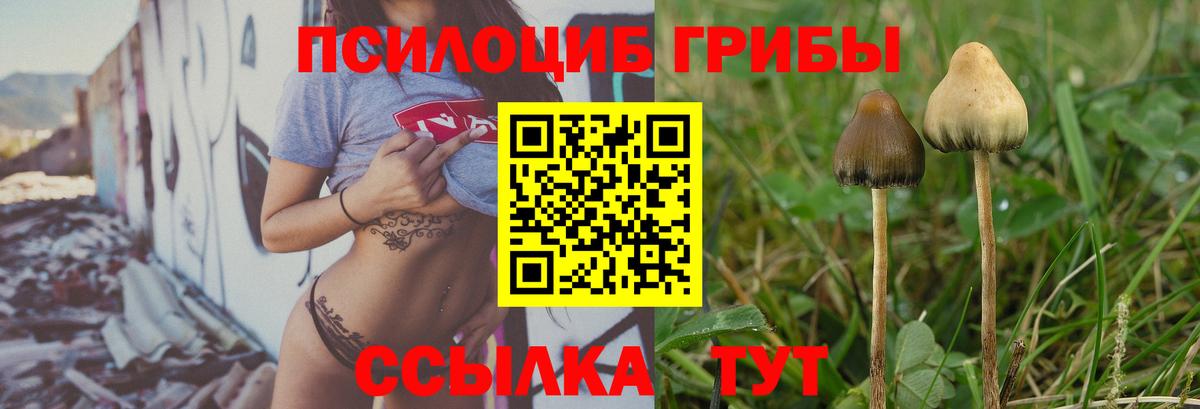 Галлюциногенные грибы мицелий  Кунгур  Галлюциногенные грибы ЛСД 